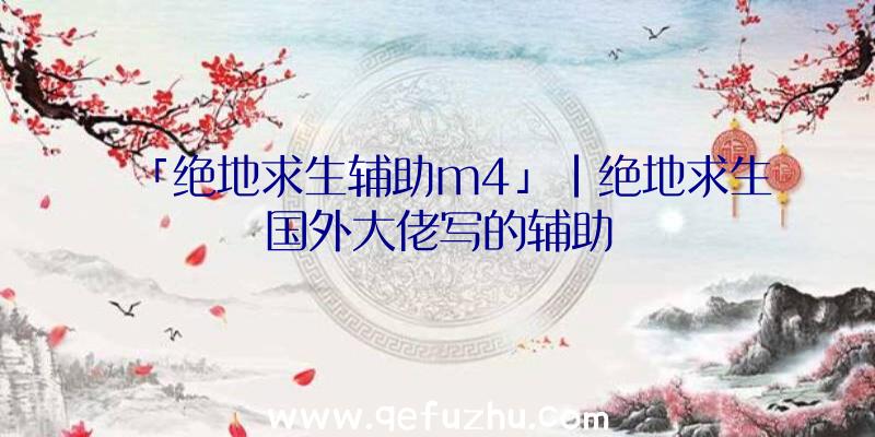 「绝地求生辅助m4」|绝地求生国外大佬写的辅助